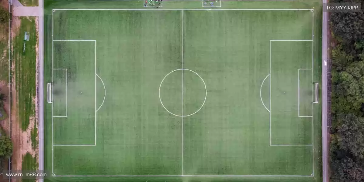 🎯精准数据，深度解析赛事背后的故事！